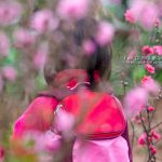 Peach trees garden – Flowers