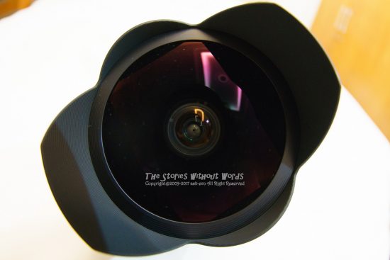 『魚眼で魚眼を撮る』 A7RII / SIGMA 10mmF2.8Fisheye [10mm F2.8 1/60 ISO2000]